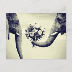 Top Postcard