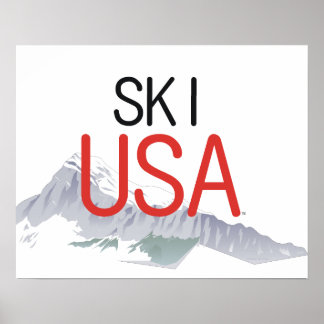 TOP Ski USA Poster
