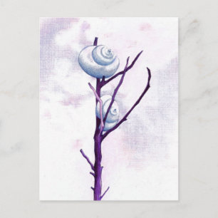 Top Snail Postcard
