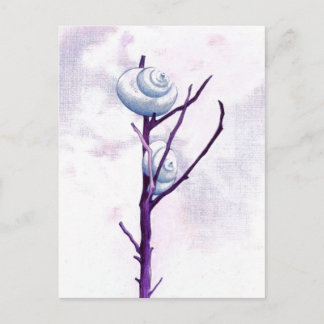 Top Snail Postcard