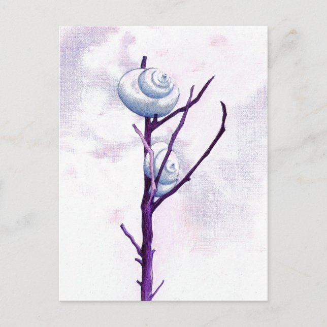Top Snail Postcard (Front)