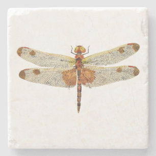 top view of a male Calico Pennant Dragonfly Stone Coaster