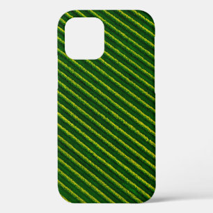 Top view of rows blackcurrant bushes, cultivated l iPhone 12 case