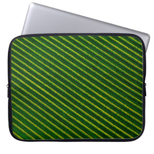 Top view of rows blackcurrant bushes, cultivated l laptop sleeve
