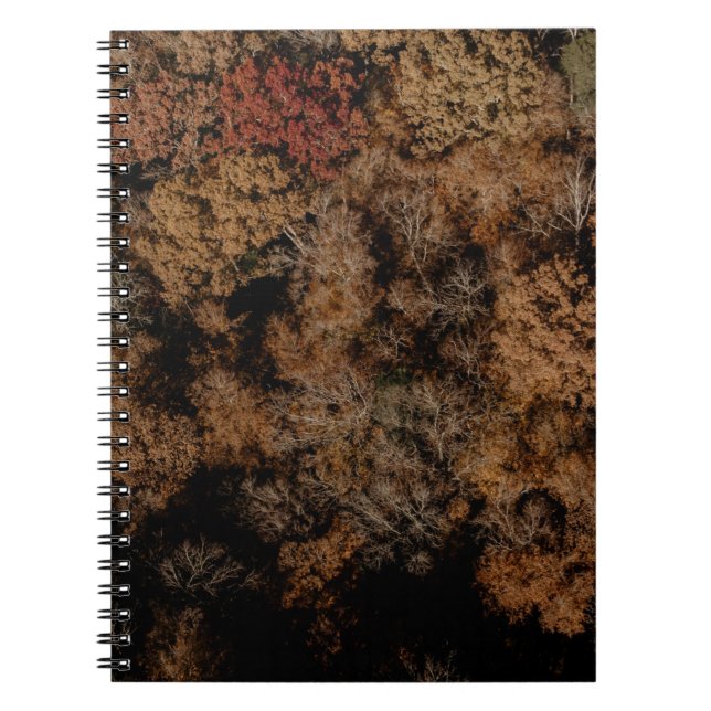 Top-view photography of tree notebook (Front)