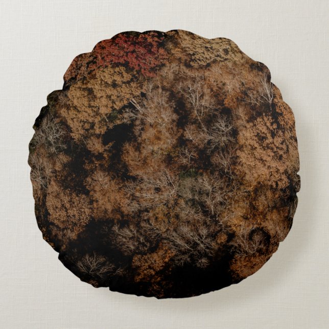 Top-view photography of tree round pillow (Front)