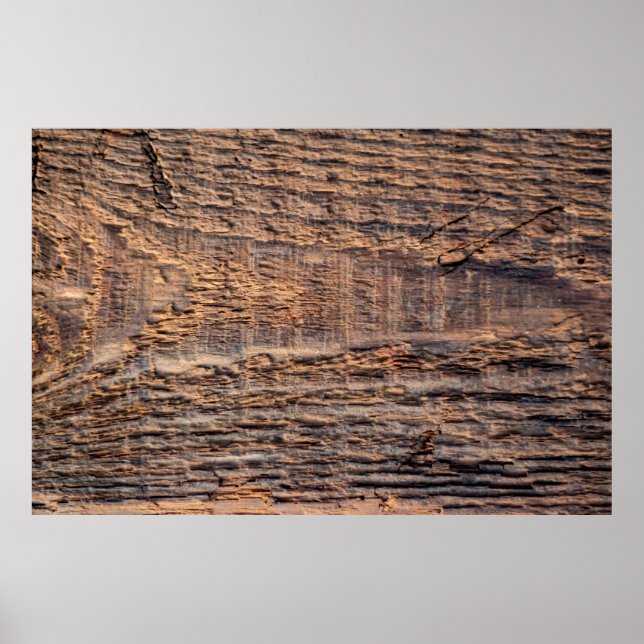 Top view texture of old wood. abstract,aged,antiqu poster (Front)