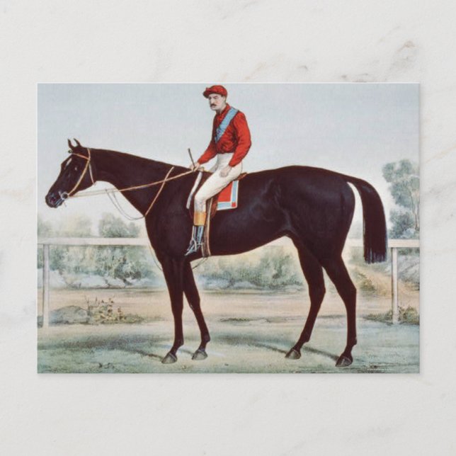 TOP Winner's Circle Postcard (Front)