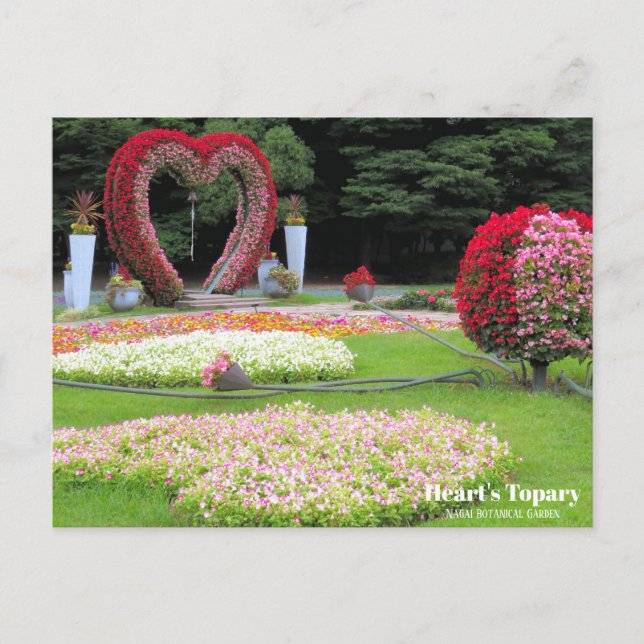Topary du coeur : Carte postale (Devant)
