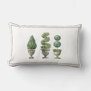 Topiary Tree in Stone Planters Lumbar Pillow