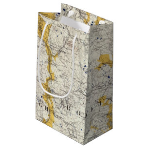 Topographic and Glacial Map of New Hampshire Small Gift Bag