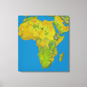 Topographic view of Africa Canvas Print