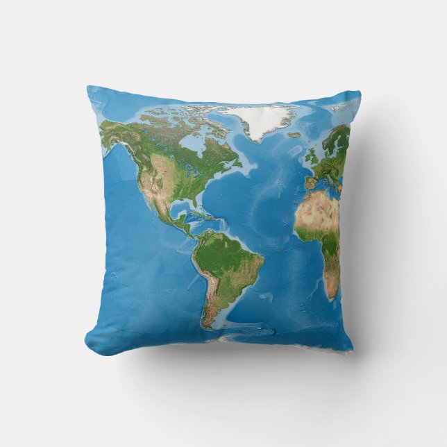 Topographic World Map Earth Illustration Throw Pillow (Front)