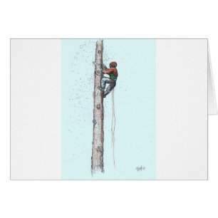 Topping out Arborist Tree Surgeon