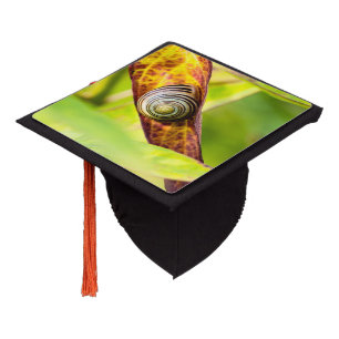 Toque De Diplômé attachement calme