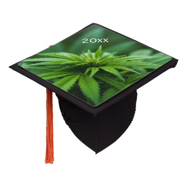 Toque De Diplômé Beau Plante de mauvaises herbes w année (Incliné)