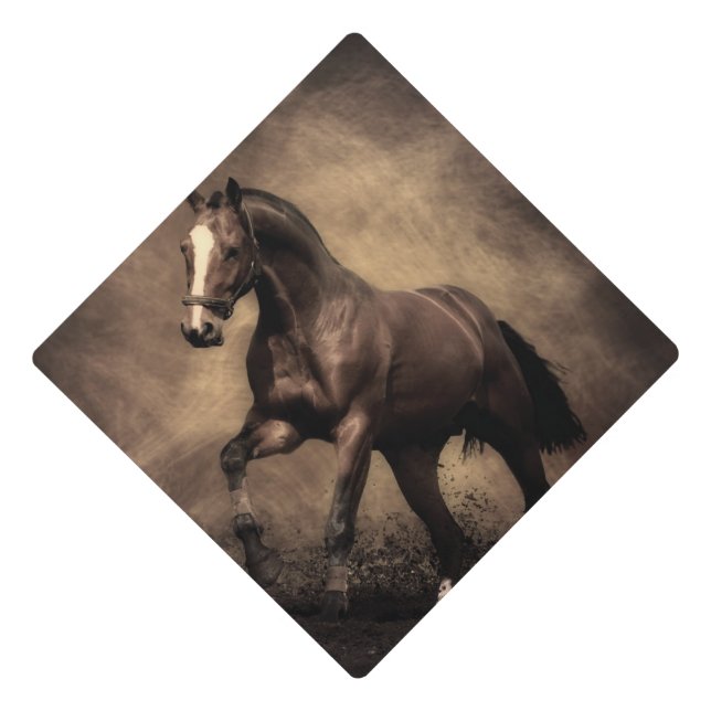 Toque De Diplômé Beautiful horse throw pillow (Devant)