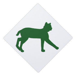 Toque De Diplômé Calandre de bobcat verte