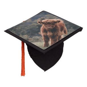 Toque De Diplômé Campagne d'herbe d'automne de la vache de haute-te