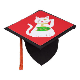 Toque De Diplômé Chat Oriental Lucky
