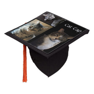 Toque De Diplômé Chats