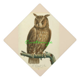 Toque De Diplômé Chevêche de la Grande-Corne Thunder_Cove