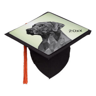 Toque De Diplômé Chien année Géométrique Gris Vert