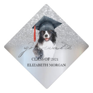 Toque De Diplômé Chien Avec Casquette Grad  Argent Parties scintill