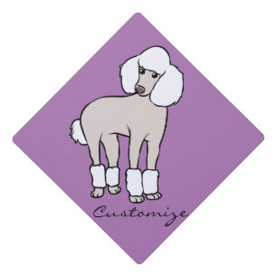 Toque De Diplômé Chien de caniche standard Thunder_Cove