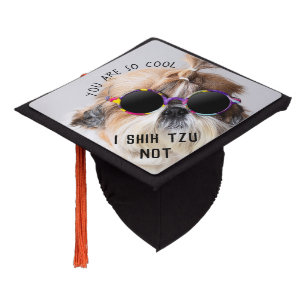 Toque De Diplômé Cool Shih Tzu Pas amusant Lunettes de soleil migno