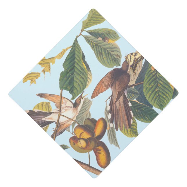 Toque De Diplômé Coucou à bec jaune Audubon (Devant)