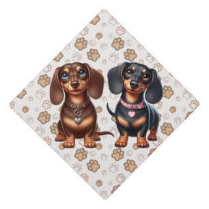Toque De Diplômé De mignons amis dachshund