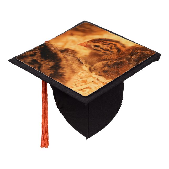 Toque De Diplômé Déchets (Incliné)
