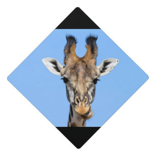 Toque De Diplômé Giraffe