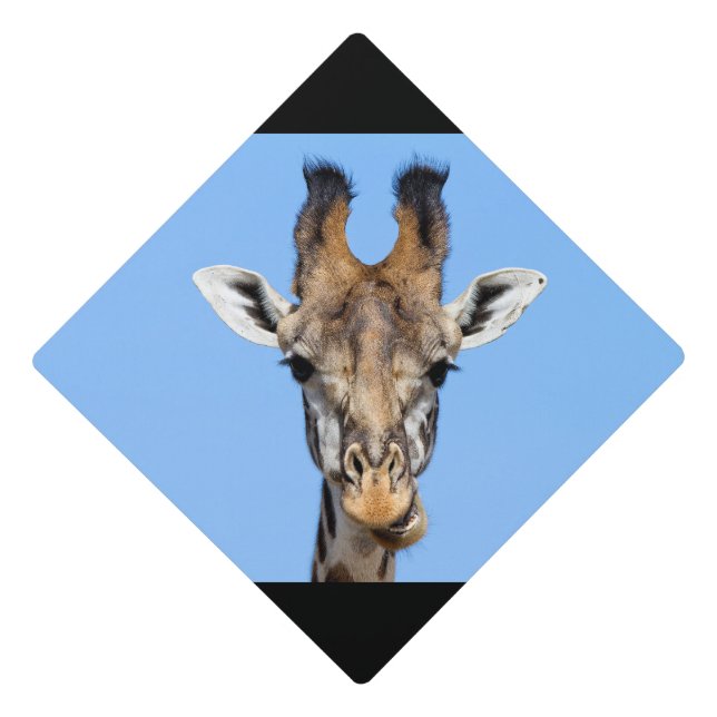 Toque De Diplômé Giraffe (Devant)