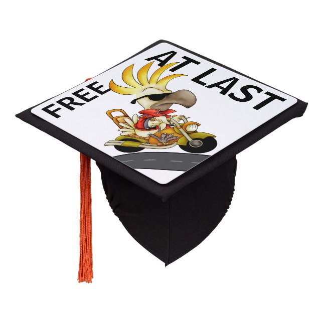 TOQUE DE DIPLÔMÉ GRATUIT À DERNIER ! (Incliné)