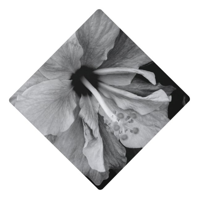 Toque De Diplômé Hibiscus  (Devant)