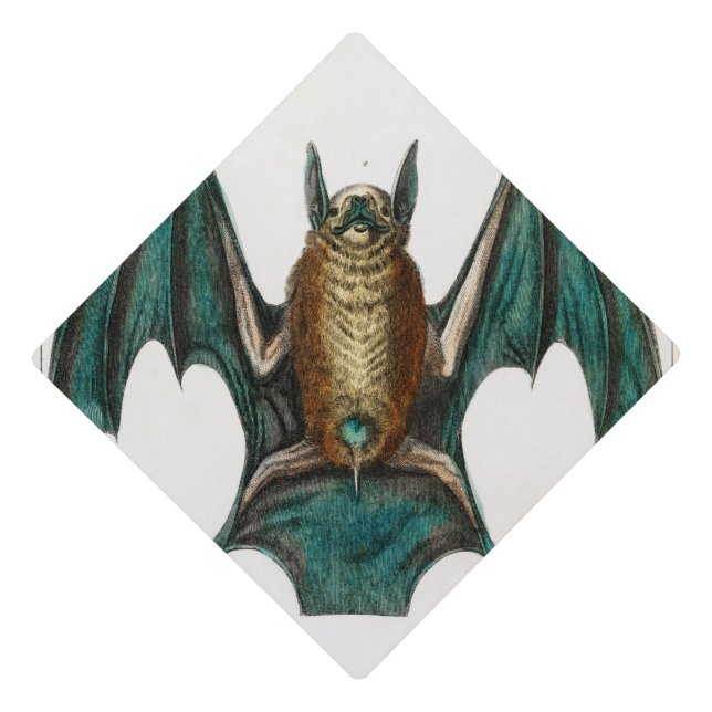 Toque De Diplômé Illustration de chauves-souris personnalisées Hall (Devant)