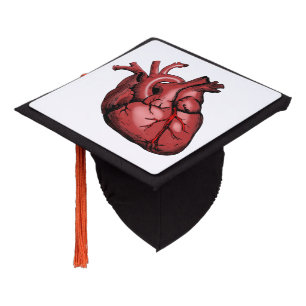 Toque De Diplômé Image de coeur anatomique réaliste
