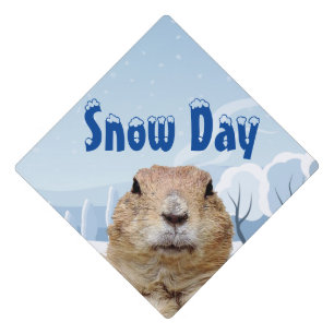 Toque De Diplômé Jour de la neige de la marmotte