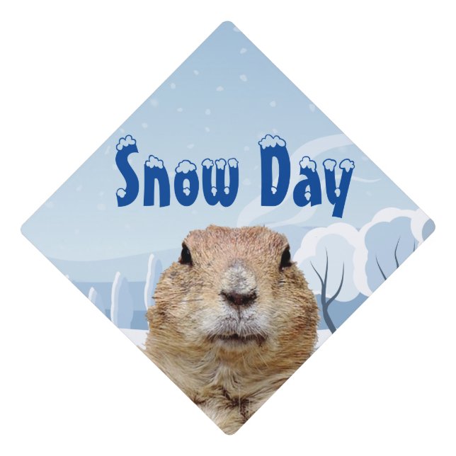 Toque De Diplômé Jour de la neige de la marmotte (Devant)