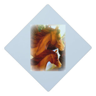Toque De Diplômé Jument et poney Thunder_Cove