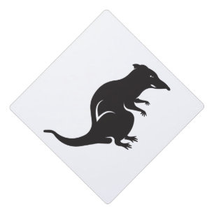 Toque De Diplômé Juste un rat