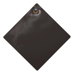 Toque De Diplômé laboratoire noir