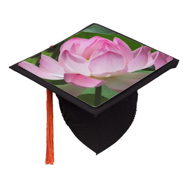 Toque De Diplômé Lotus Bloom rose (Incliné)