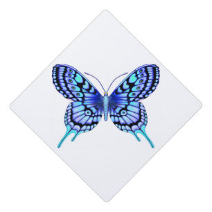 Toque De Diplômé papillon bleu