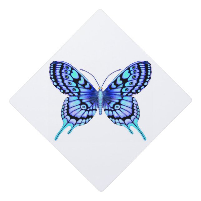 Toque De Diplômé papillon bleu (Devant)