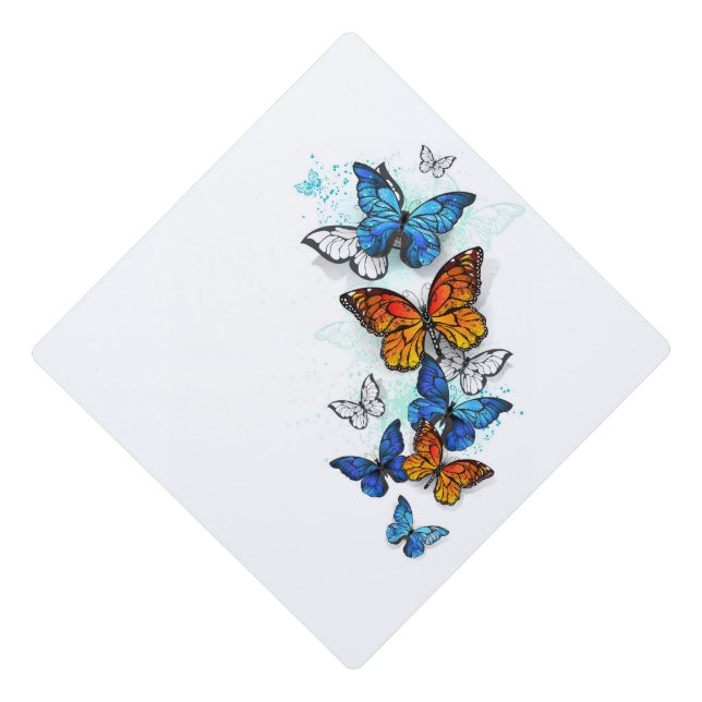 Toque De Diplômé Papillons volants Morpho et Monarch (Devant)
