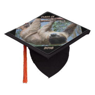 Toque De Diplômé Photo de paresse