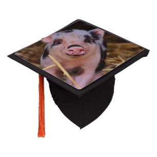 Toque De Diplômé Porc mignon doux